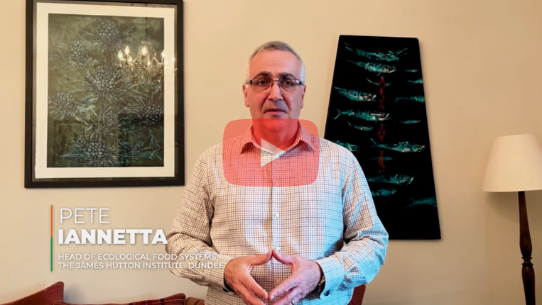 Pete Iannetta