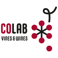 CoLab Vines Wines