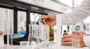 investigacao-referencia