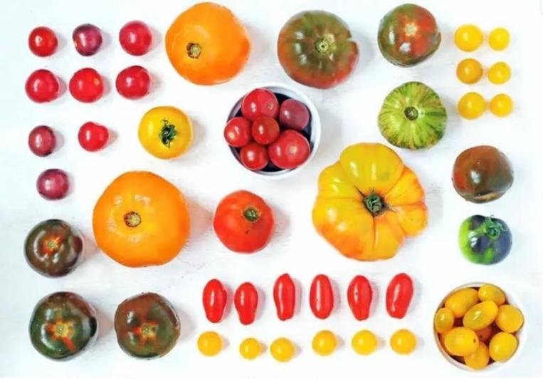 Recovery of carotenoids from tomato byproducts and impact on