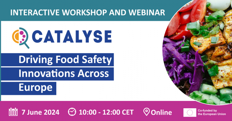 CATALYSE_webinar_food-safety-inn