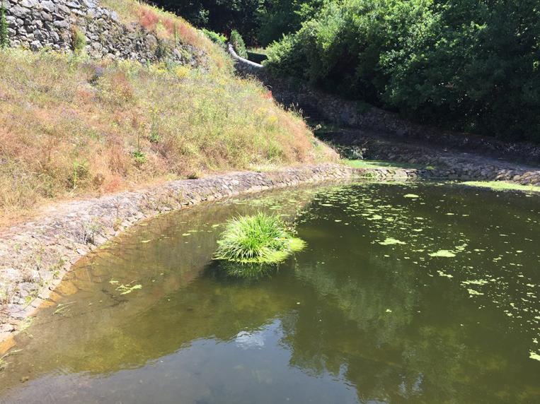 Image presenting the event