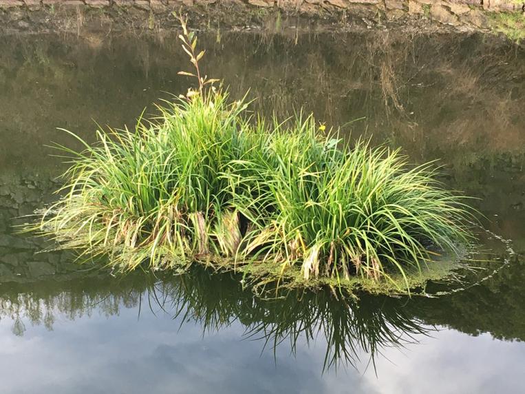 Image presenting the event