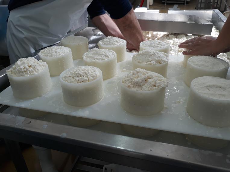 queijo-Serpa
