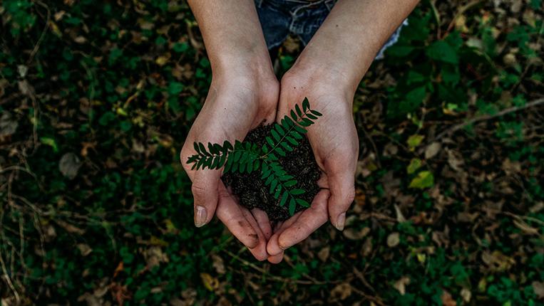 Docente da Escola Superior de Biotecnologia participa em mesa-redonda sobre projetos que querem tornar a Europa mais sustentável 