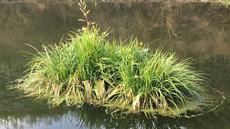 Imagem de apresentação do evento