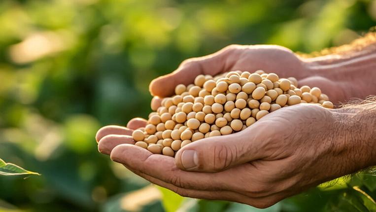 Imagem de apresentação