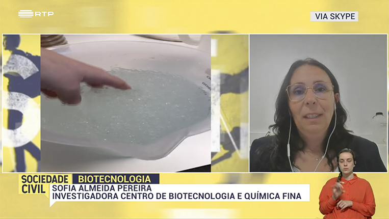 Imagem do programa com o entrevistador e a Sofia Pereira